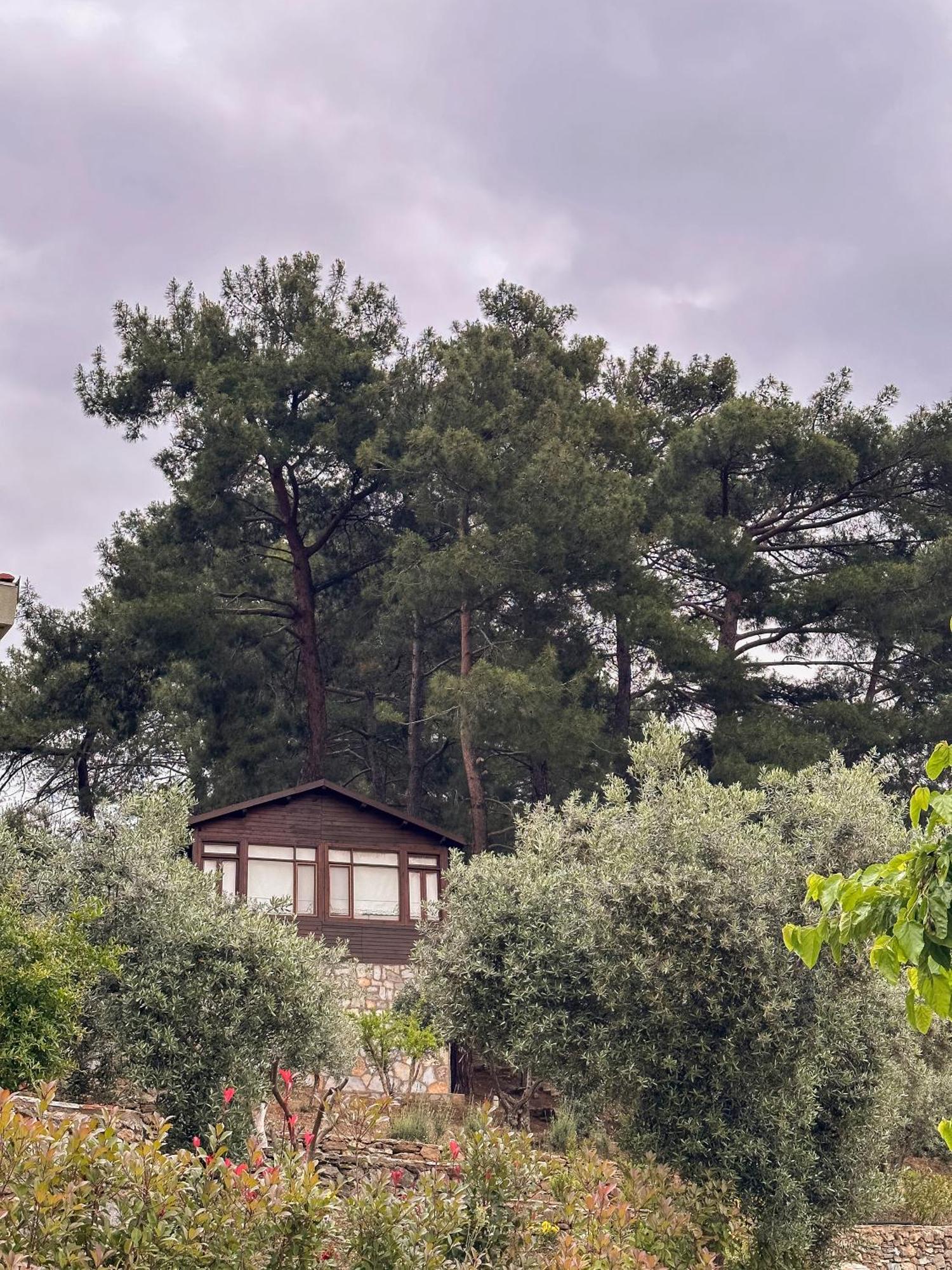 Hotel Ephesus Retreat İzmir Exteriér fotografie